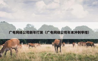 广电网络公司新年打算（广电网络公司年末冲刺举措）