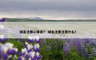 域名注册心体会？ 域名注册注意什么？