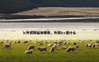ic外贸网站有哪些，外贸icc是什么