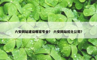六安网站建设哪家专业？ 六安网站优化公司？
