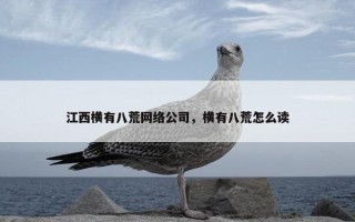 江西横有八荒网络公司，横有八荒怎么读