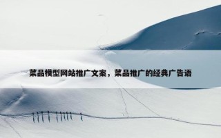 菜品模型网站推广文案，菜品推广的经典广告语