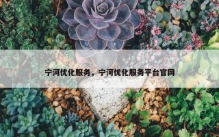 宁河优化服务，宁河优化服务平台官网