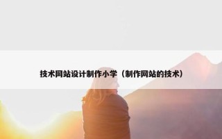 技术网站设计制作小学（制作网站的技术）