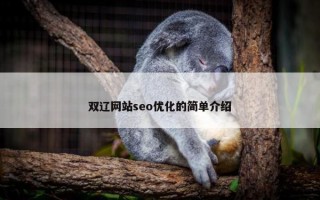 双辽网站seo优化的简单介绍