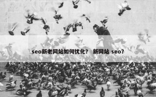 seo新老网站如何优化？ 新网站 seo？