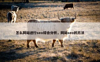 怎么网站进行seo综合分析，网站seo的方法