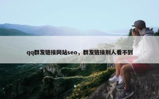 qq群发链接网站seo，群发链接别人看不到