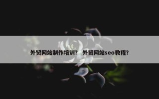 外贸网站制作培训？ 外贸网站seo教程？