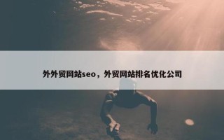 外外贸网站seo，外贸网站排名优化公司