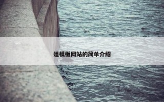 姐模板网站的简单介绍