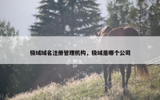 极域域名注册管理机构，极域是哪个公司