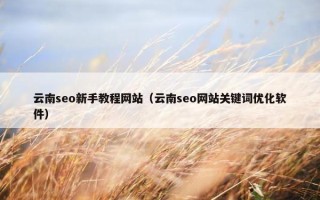 云南seo新手教程网站（云南seo网站关键词优化软件）