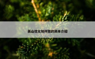 英山优化如何做的简单介绍
