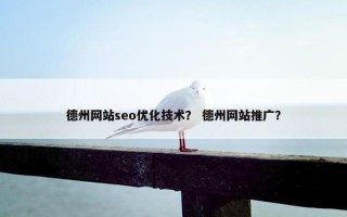 德州网站seo优化技术？ 德州网站推广？