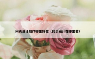 网页设计制作哪里好做（网页设计在哪里做）