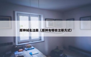 原神域名注册（原神有哪些注册方式）