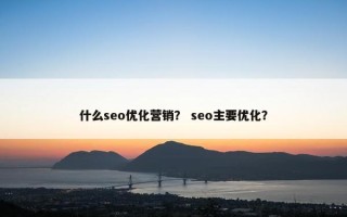 什么seo优化营销？ seo主要优化？