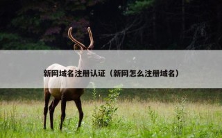 新网域名注册认证（新网怎么注册域名）