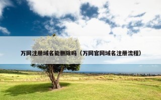 万网注册域名能删除吗（万网官网域名注册流程）