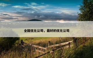 全国优化公司，最好的优化公司