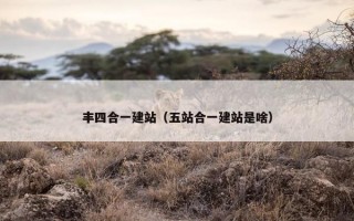 丰四合一建站（五站合一建站是啥）