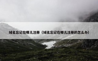 域名忘记在哪儿注册（域名忘记在哪儿注册的怎么办）