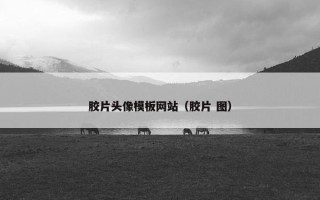 胶片头像模板网站（胶片 图）