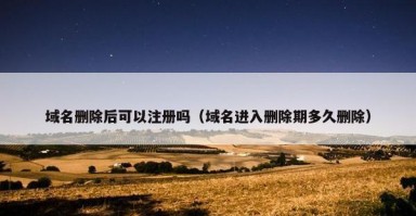 域名删除后可以注册吗（域名进入删除期多久删除）