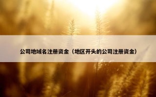 公司地域名注册资金（地区开头的公司注册资金）