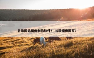 谷歌网站镜像制作软件？ 谷歌镜像网页？