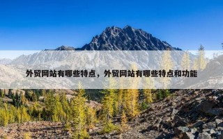 外贸网站有哪些特点，外贸网站有哪些特点和功能