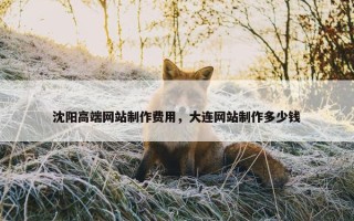 沈阳高端网站制作费用，大连网站制作多少钱