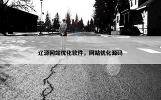 辽源网站优化软件，网站优化源码