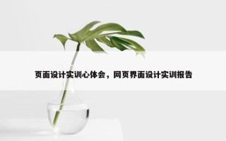 页面设计实训心体会，网页界面设计实训报告
