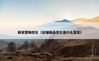 商家营销优化（店铺商品优化是什么意思）