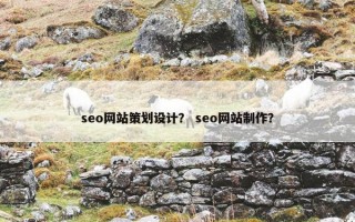 seo网站策划设计？ seo网站制作？