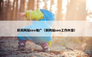新民网站seo推广（新网站seo工作内容）