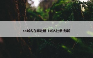 so域名在哪注册（域名注册搜索）