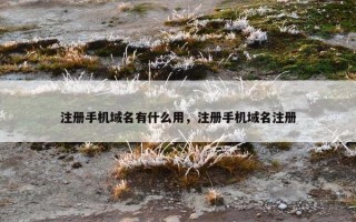 注册手机域名有什么用，注册手机域名注册