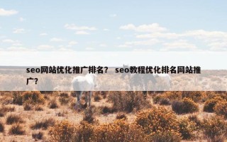 seo网站优化推广排名？ seo教程优化排名网站推广？