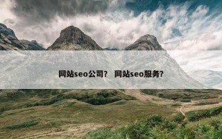 网站seo公司？ 网站seo服务？