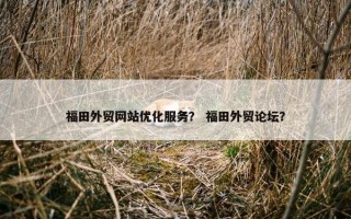 福田外贸网站优化服务？ 福田外贸论坛？