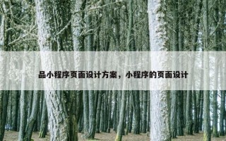 品小程序页面设计方案，小程序的页面设计