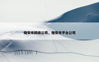 雅安市网络公司，雅安市平台公司