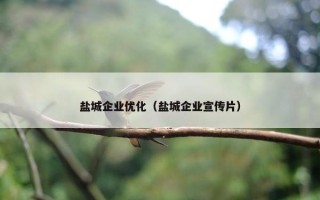 盐城企业优化（盐城企业宣传片）