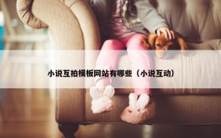 小说互拍模板网站有哪些（小说互动）