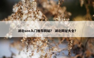 湖北seo入门推荐网站？ 湖北网址大全？