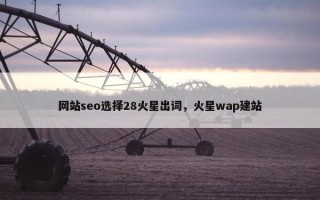 网站seo选择28火星出词，火星wap建站