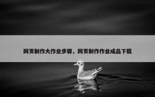 网页制作大作业步骤，网页制作作业成品下载